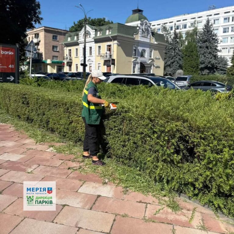 Feature image