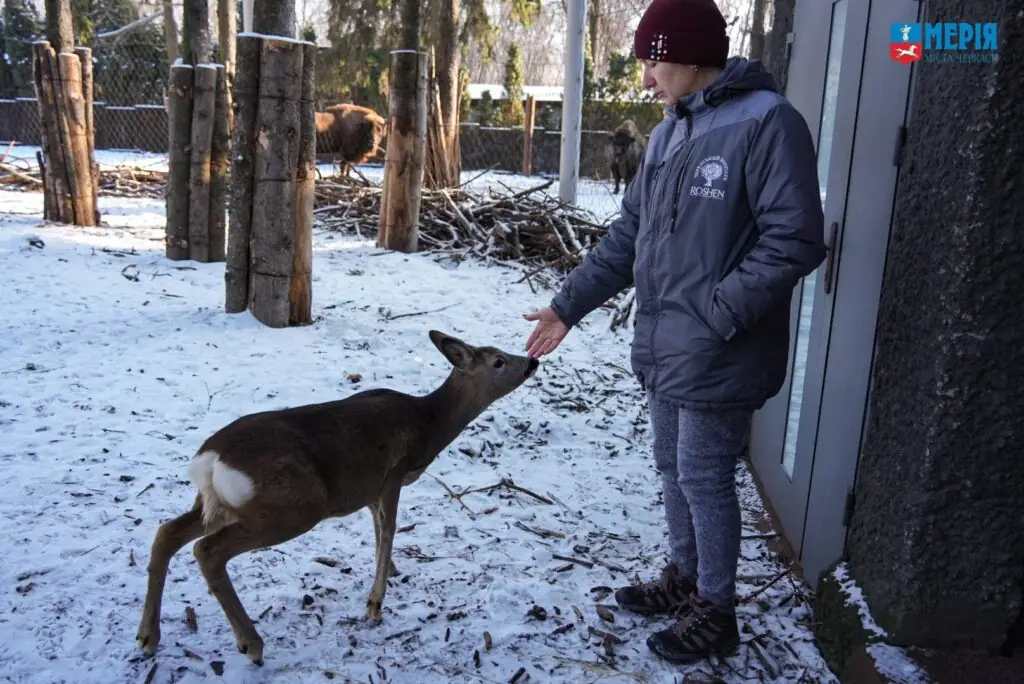 Покращене харчування та теплі приміщення: тварини Черкаського зоопарку комфортно переживають зимові морози